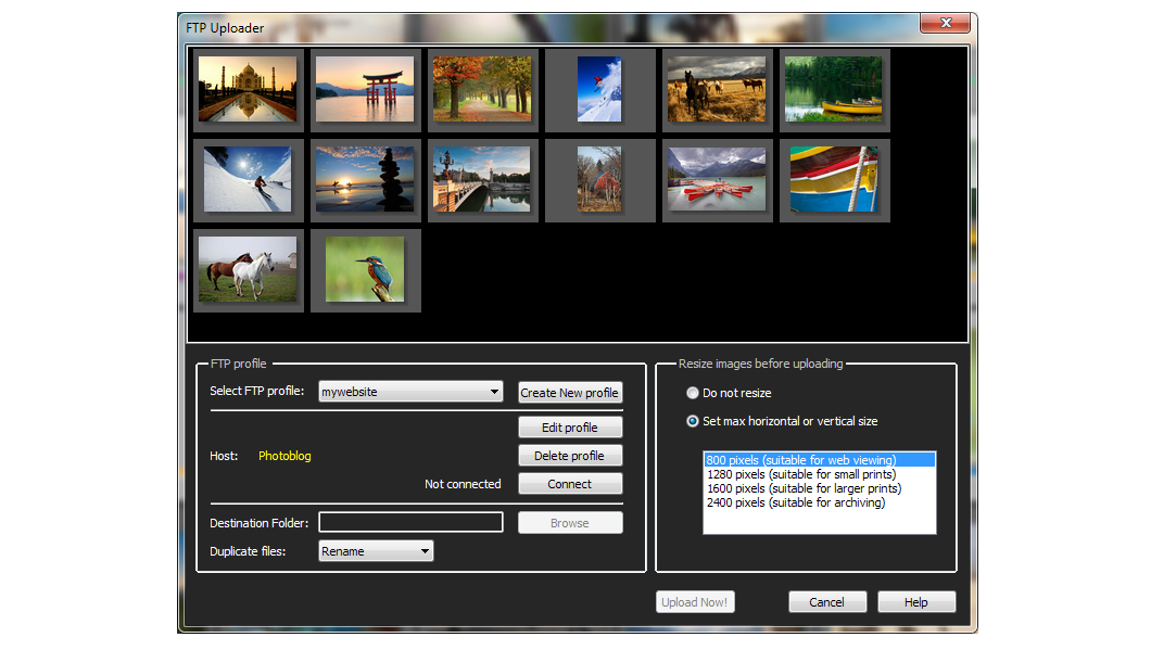 CRACK ACDSee Pro 2.0.238 ACDSee Photo Manager 10.0.238 Serials