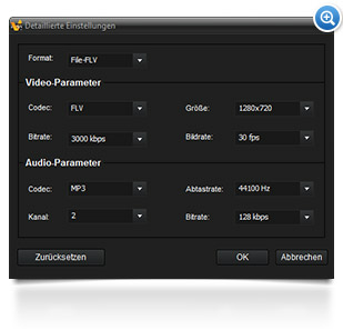 ACDSee Video Converter 3 Detail-Einstellungen