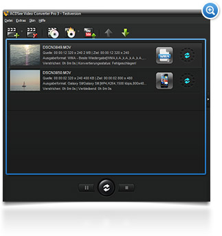 ACDSee Video Converter 3 mehrere Videos