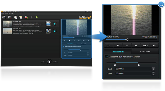 ACDSee Video Converter 3 Gehen Sie Pro