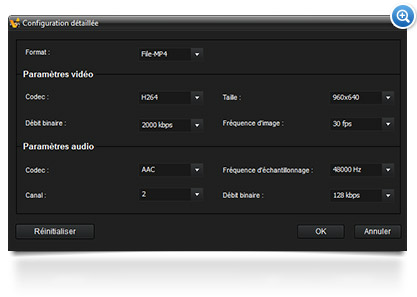 ACDSee Video Converter 3 Detail of settings