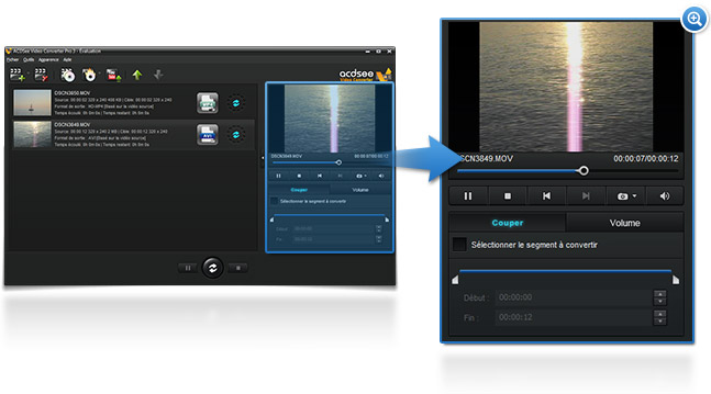 ACDSee Video Converter 3 Go for pro