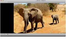 Mettre l'accent sur vos photos