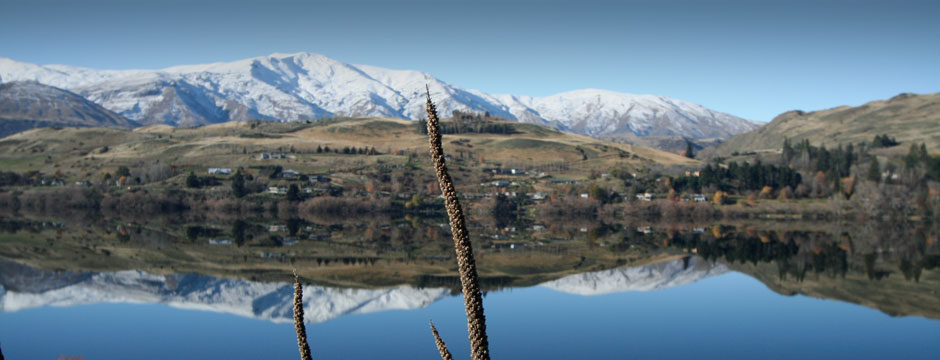 ACDSee