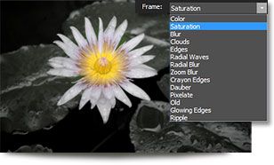 Create vignettes with ACDSee Pro 5