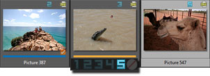 Rate your photos with ACDSee Pro 5