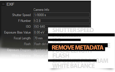 acdsee pro 3 delete metadata