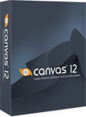 Canvas 12