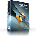 acdsee pro 3 converting files