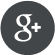 Google+ icon