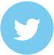 twitter icon