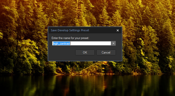 Save presets