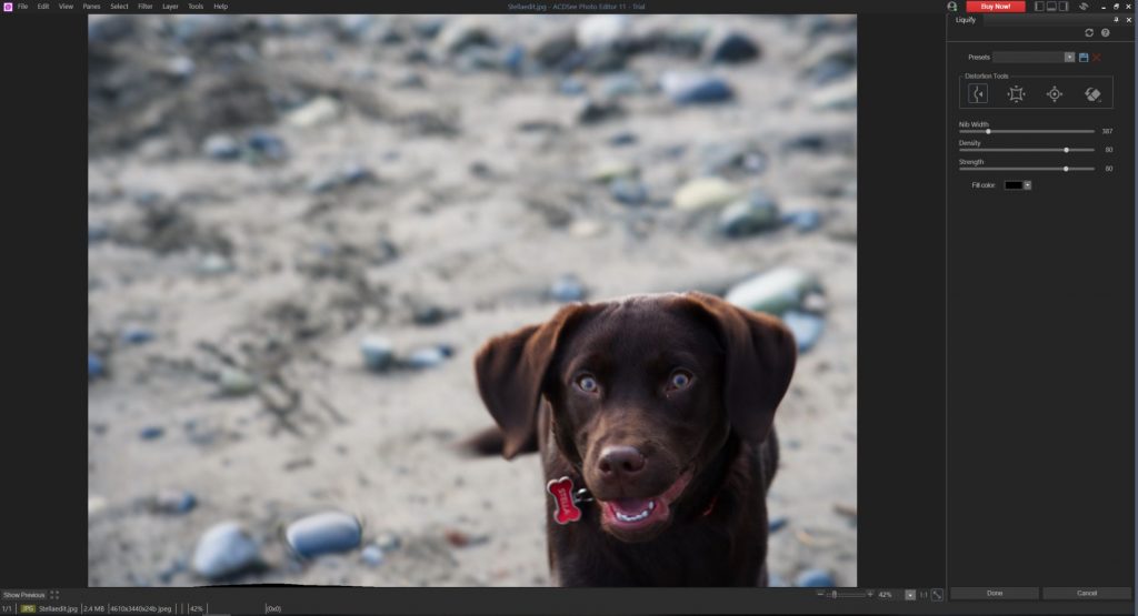 Photo Editor 11 Release ACDSee Community