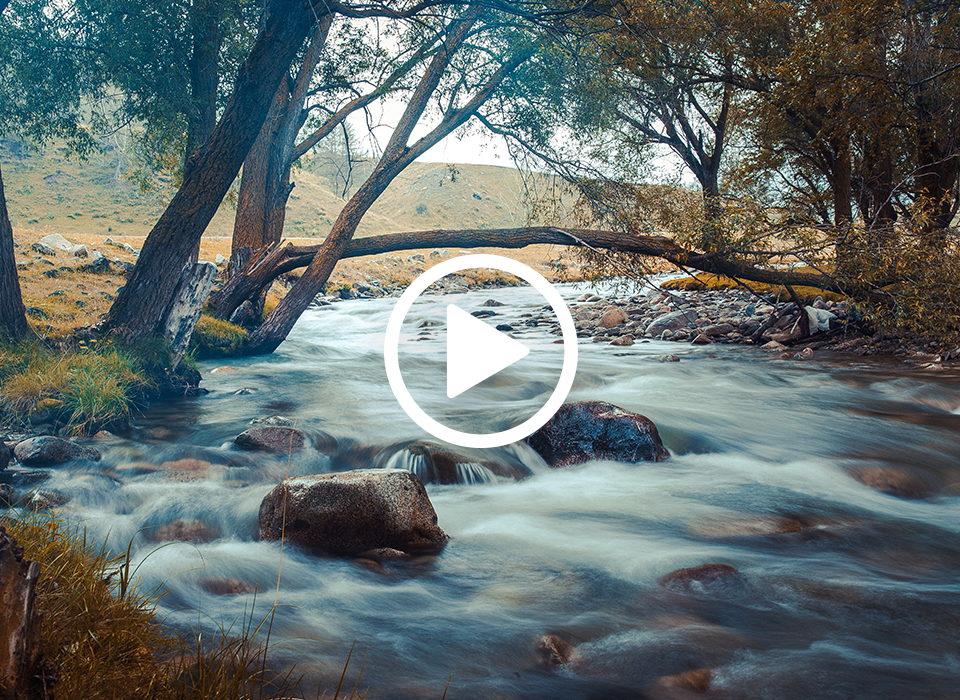 ACDSee Video Tutorials