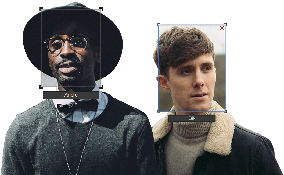 ACDSee Photo Studio Professional 2019 Facial Recognition, Digital