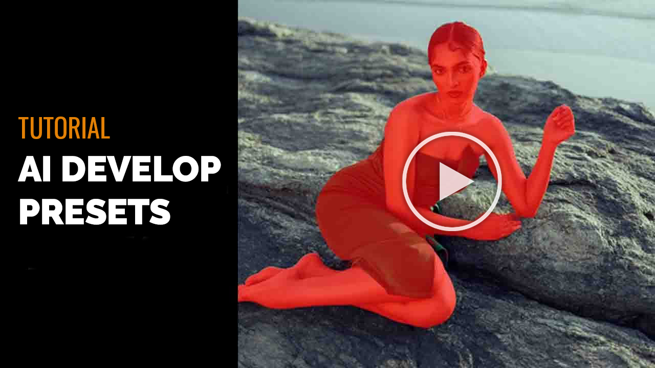 AI Develop Presets Tutorial