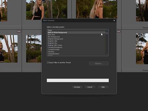 One-Click Batch Black and White Preset