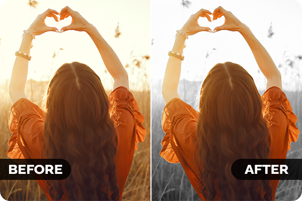 AI Develop Presets